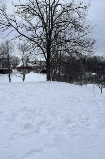 The snow lies peacefully on the ground, after many joyful footprints have been on it all day. 

